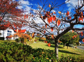 Kelvin Garden Villa